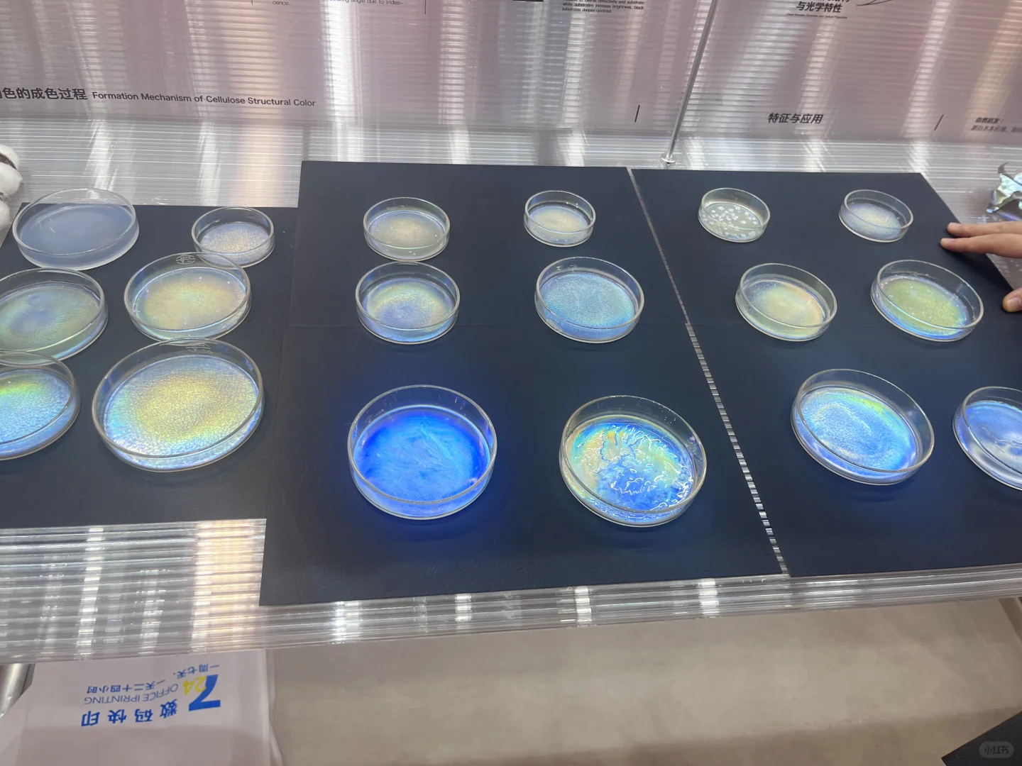 深圳设计展超值得来逛！