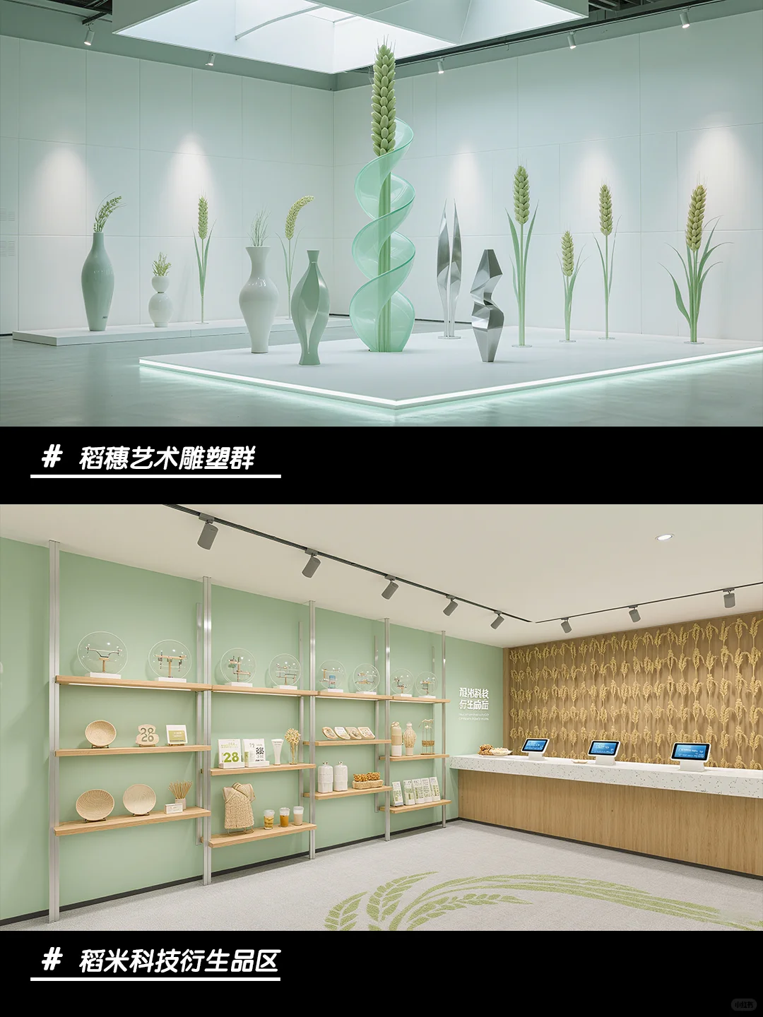 青禾织梦的稻空间～ 风动稻穗摇