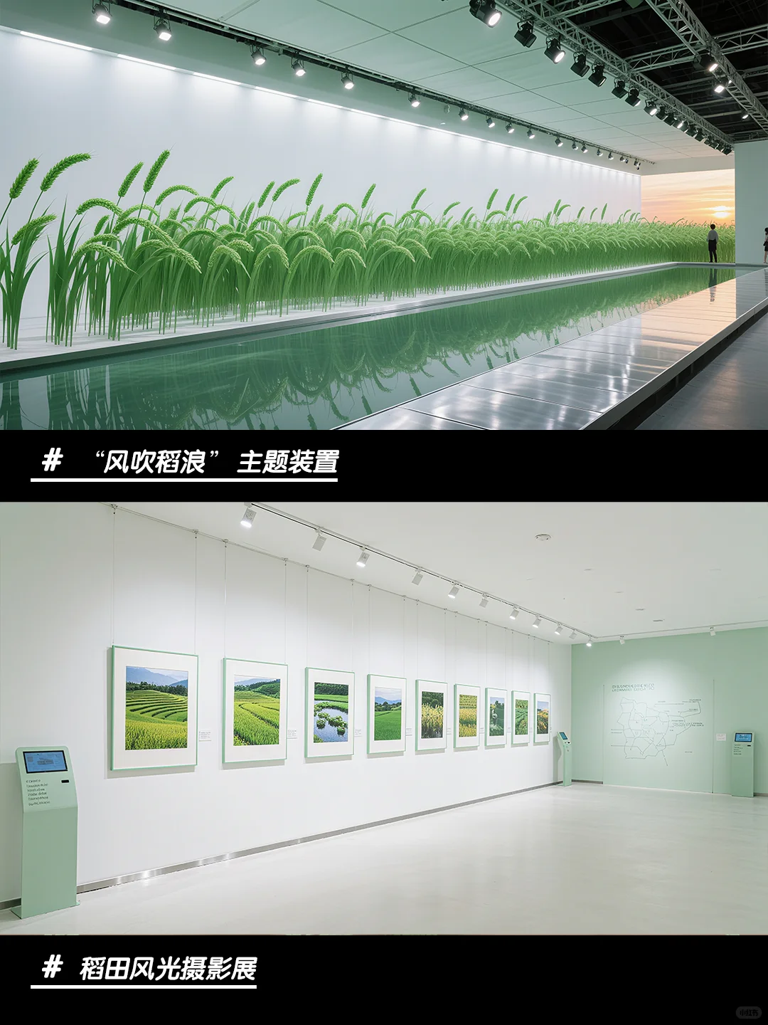 青禾织梦的稻空间～ 风动稻穗摇