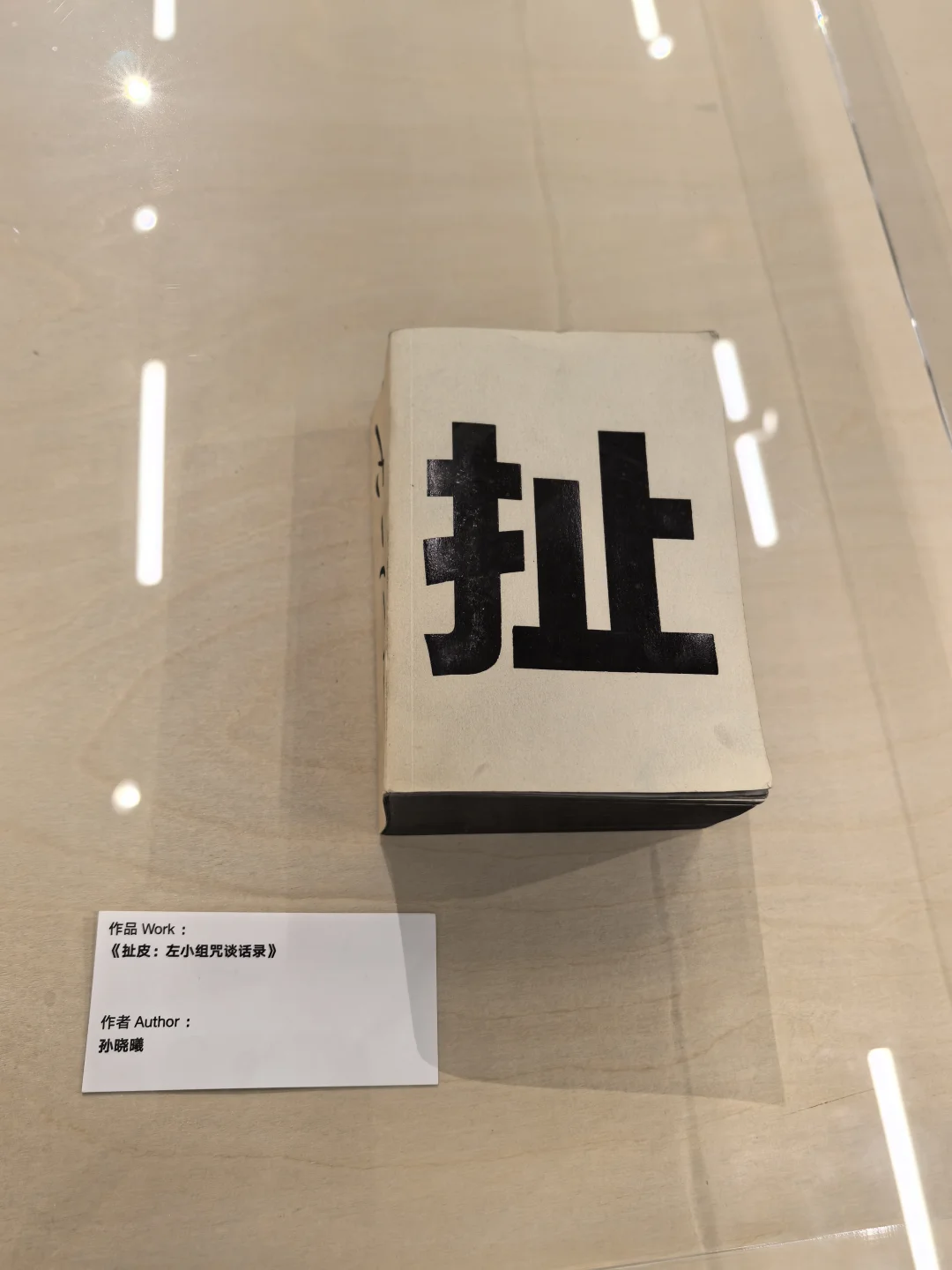 华侨城，逛鲸鱼展&平面设计展