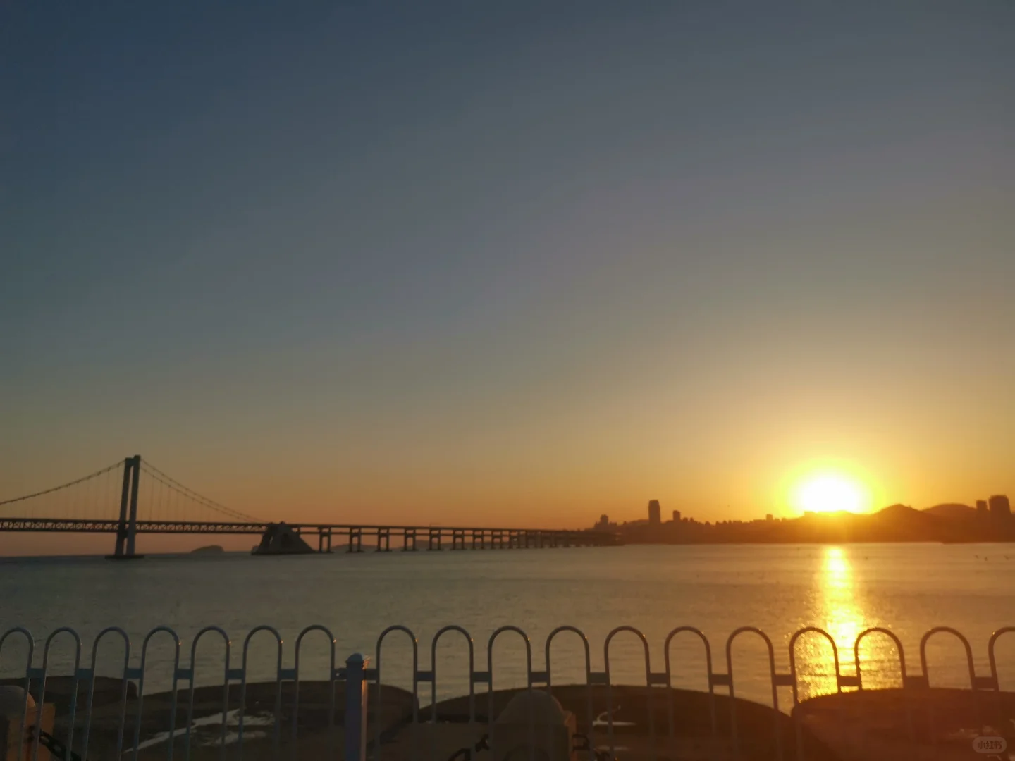 大连：专交会：