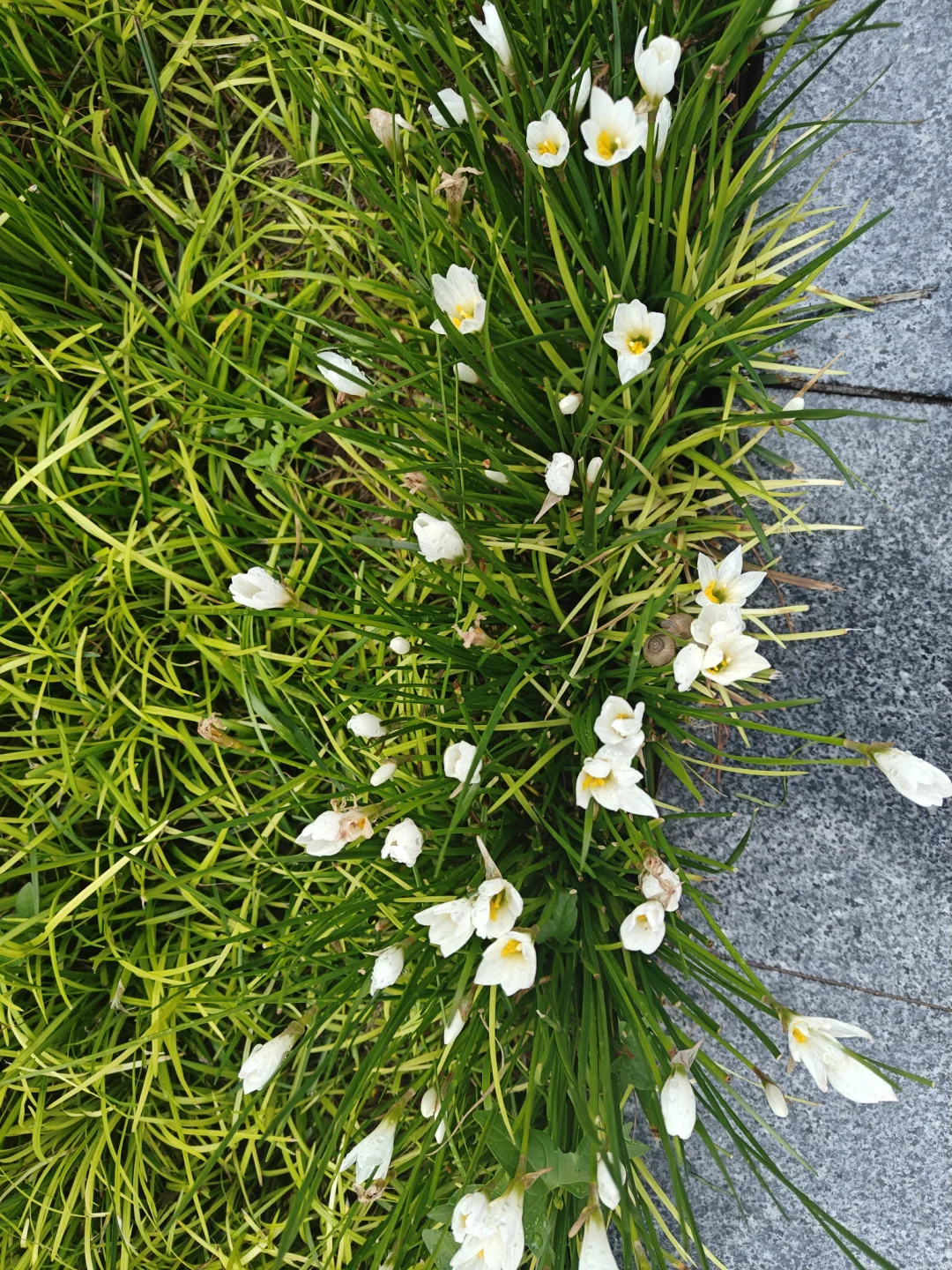 嗨浪杨老师带你实现流量自由