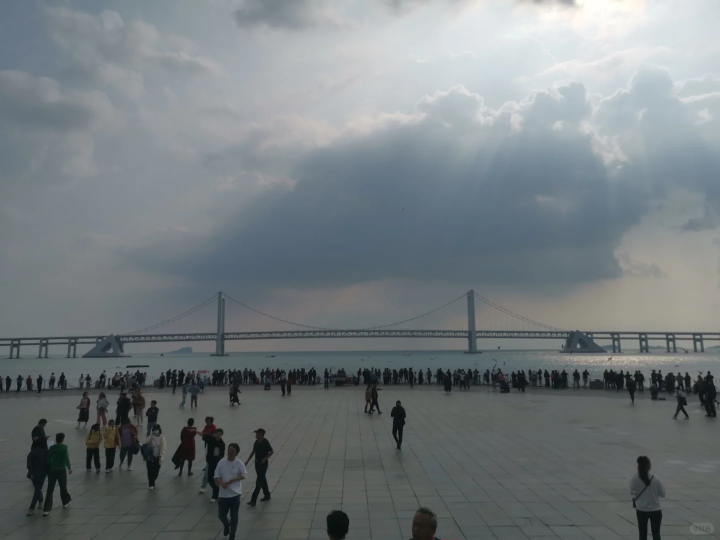 大连：专交会：