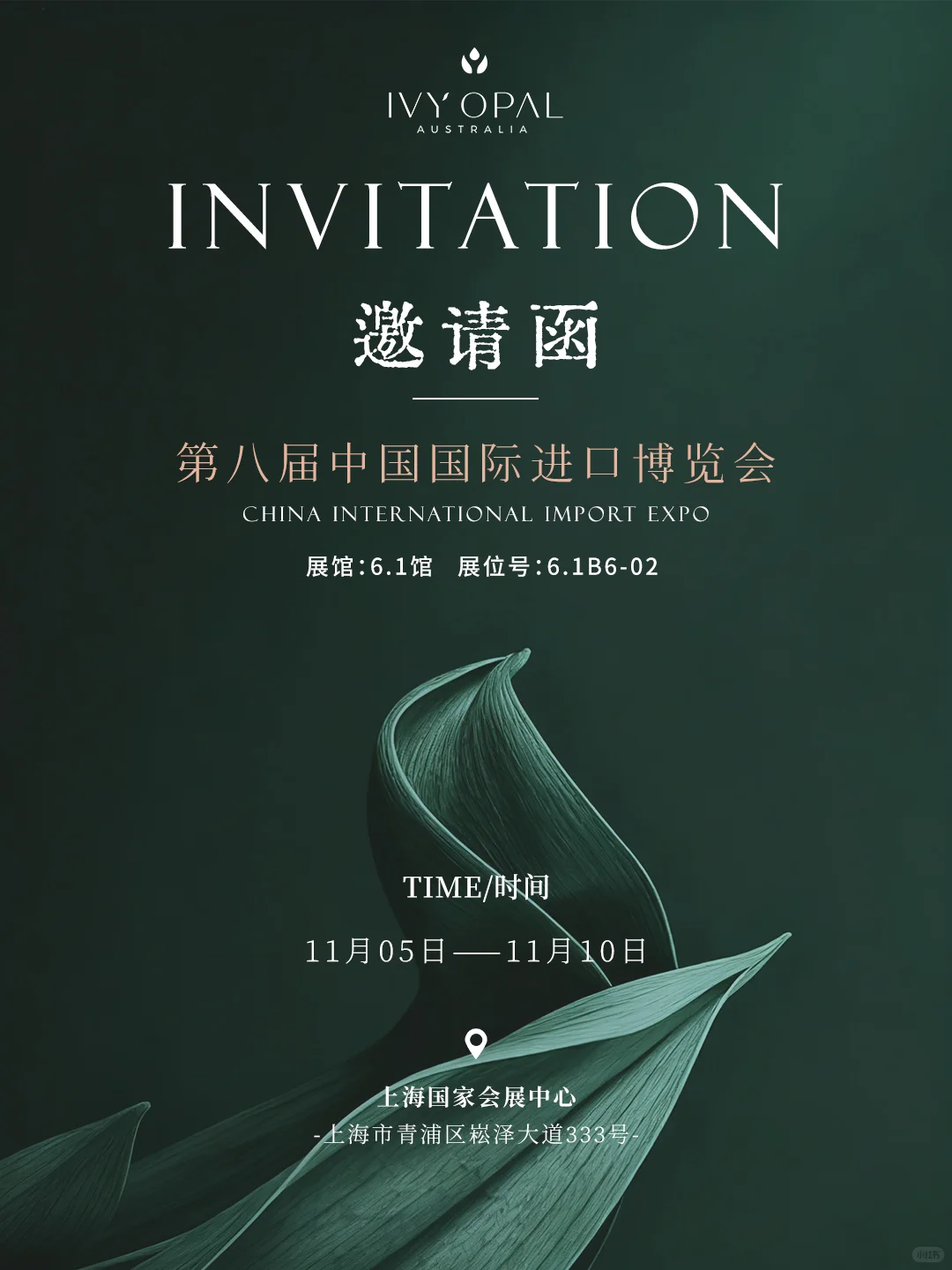 ? 进博会，我们又又来了！