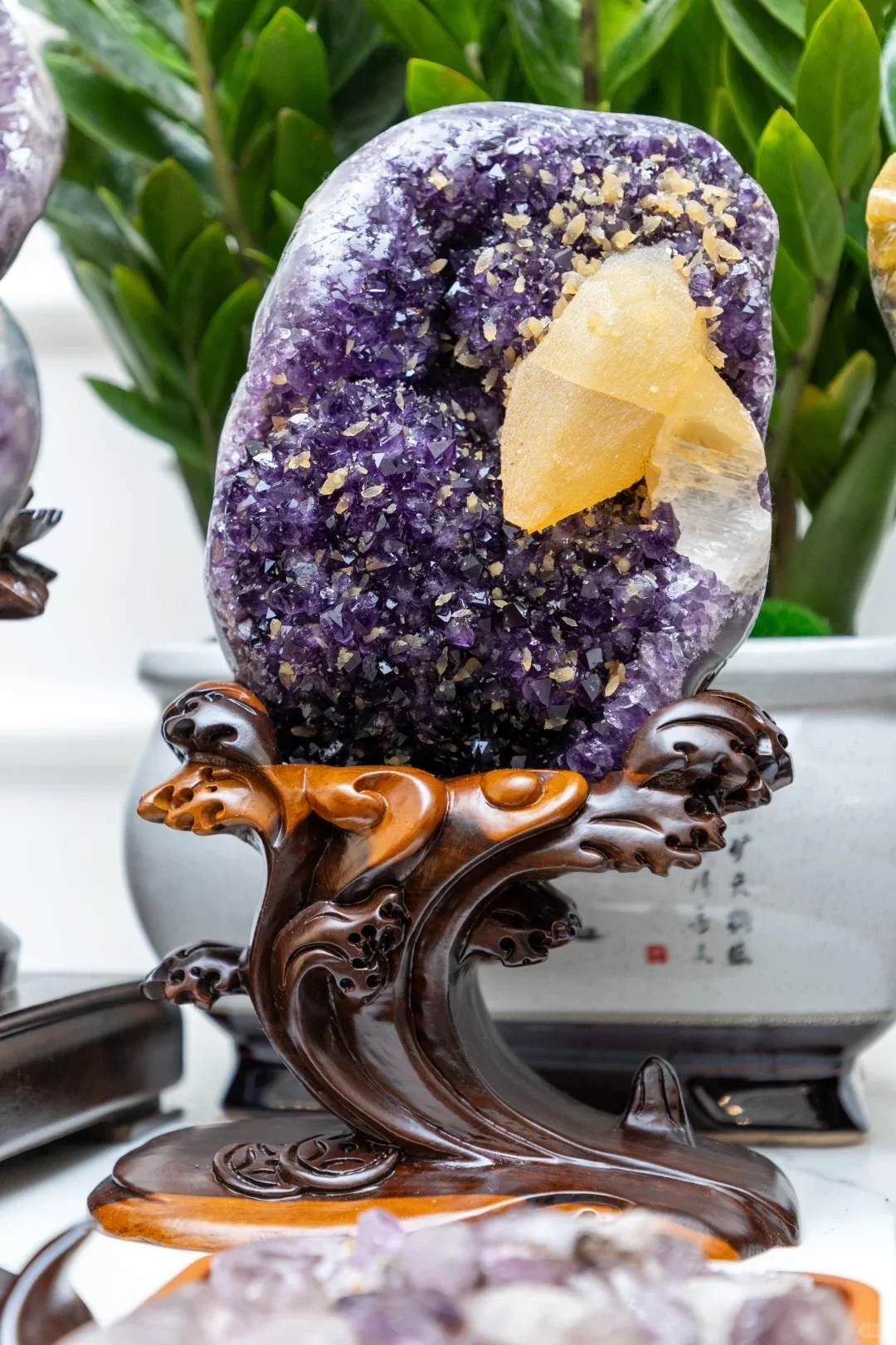 深圳将举办第二届泉愈博览会?免费领门票