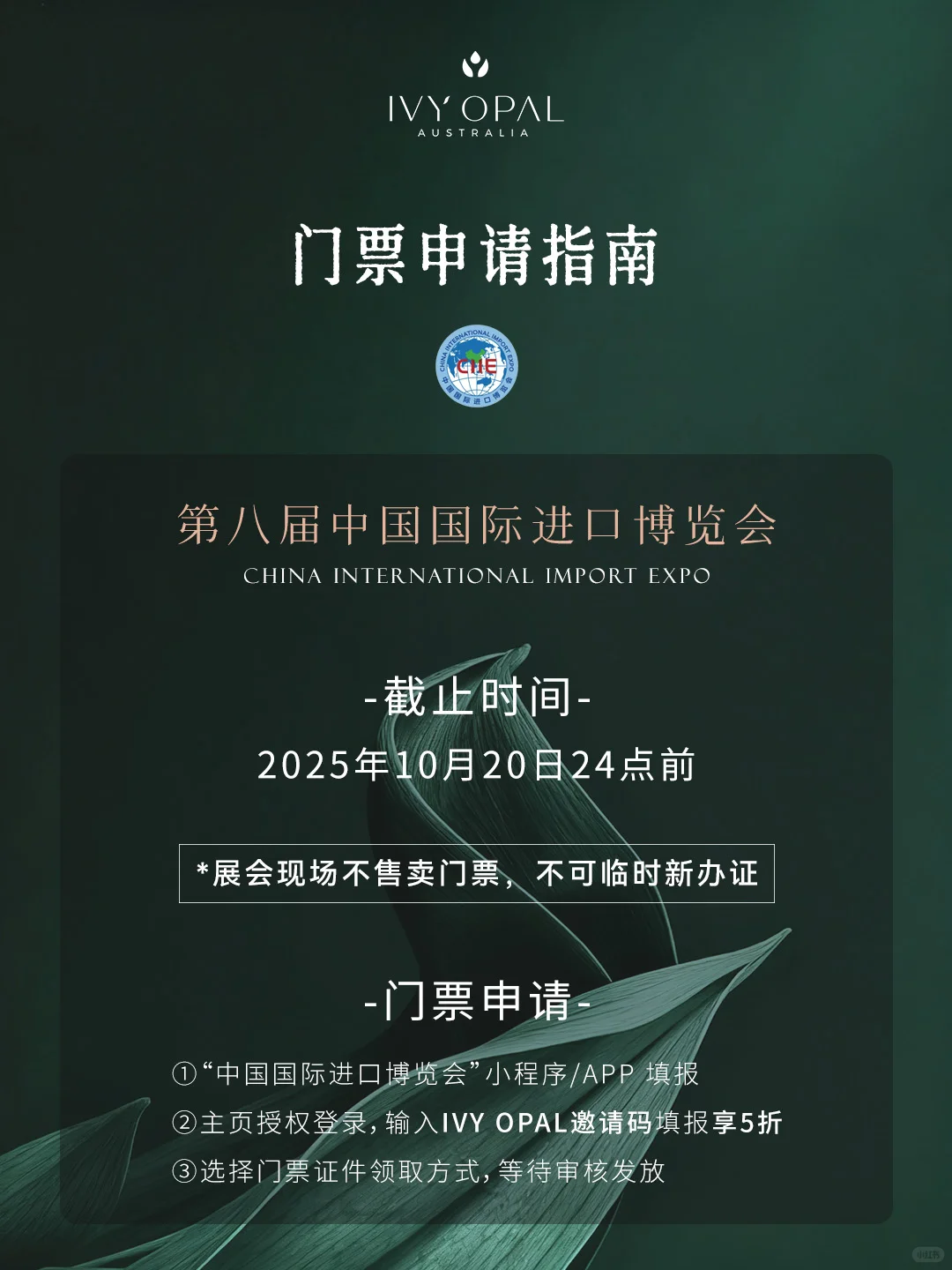 ? 进博会，我们又又来了！