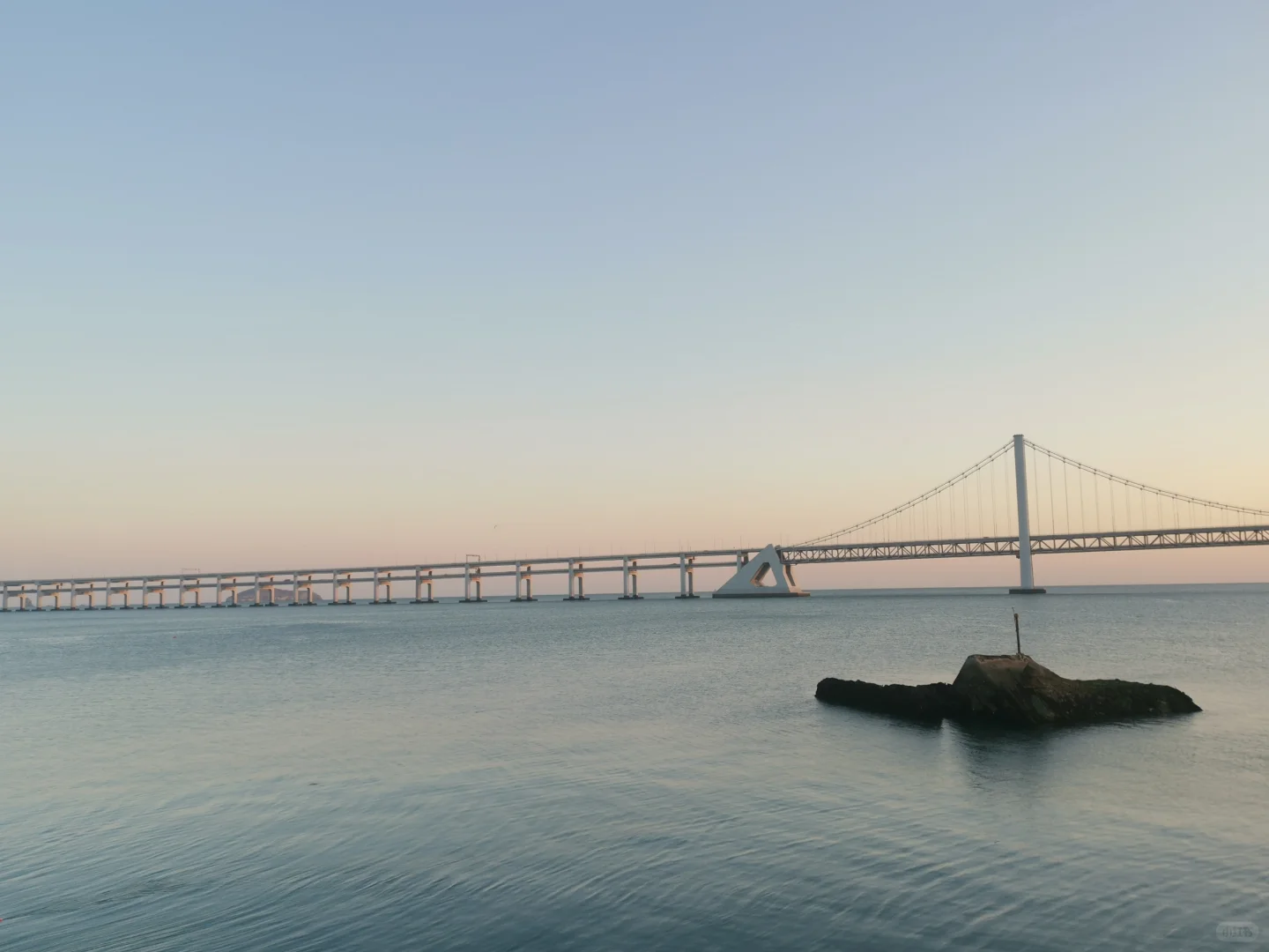 大连：专交会：