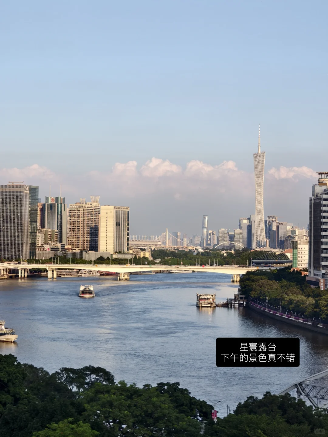 绿植人狂喜?星寰广场植宠爬友嘉年华