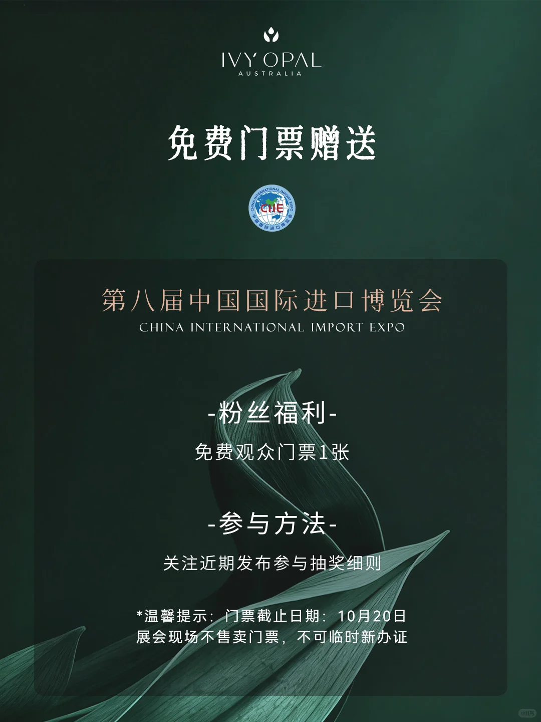 ? 进博会，我们又又来了！