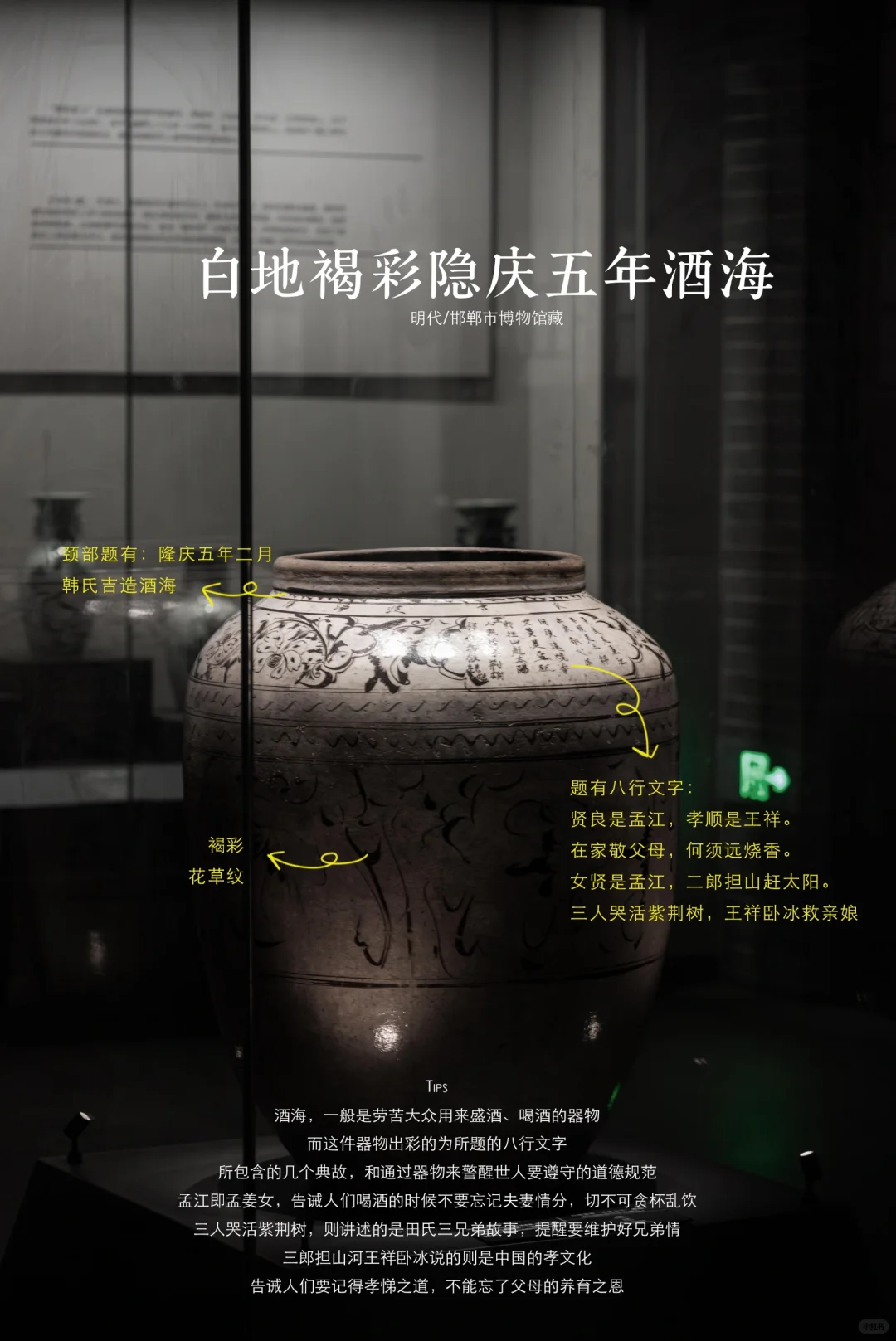 邯郸博物馆|超强参观指南，看完直接能讲解