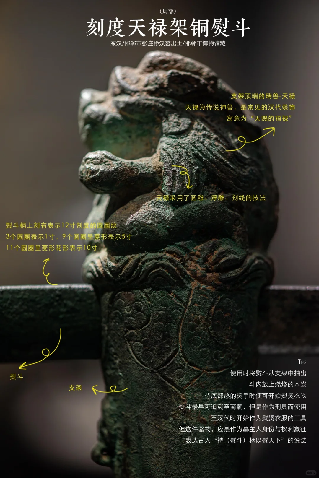 邯郸博物馆|超强参观指南，看完直接能讲解