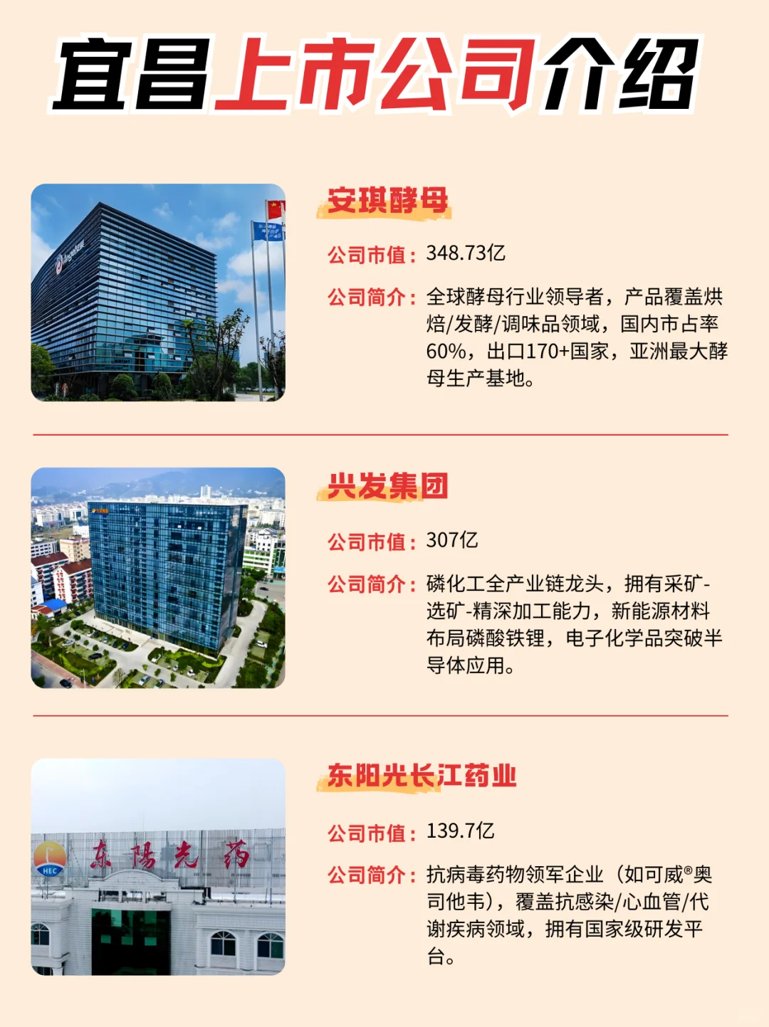 宜昌居然有这么多大企业?