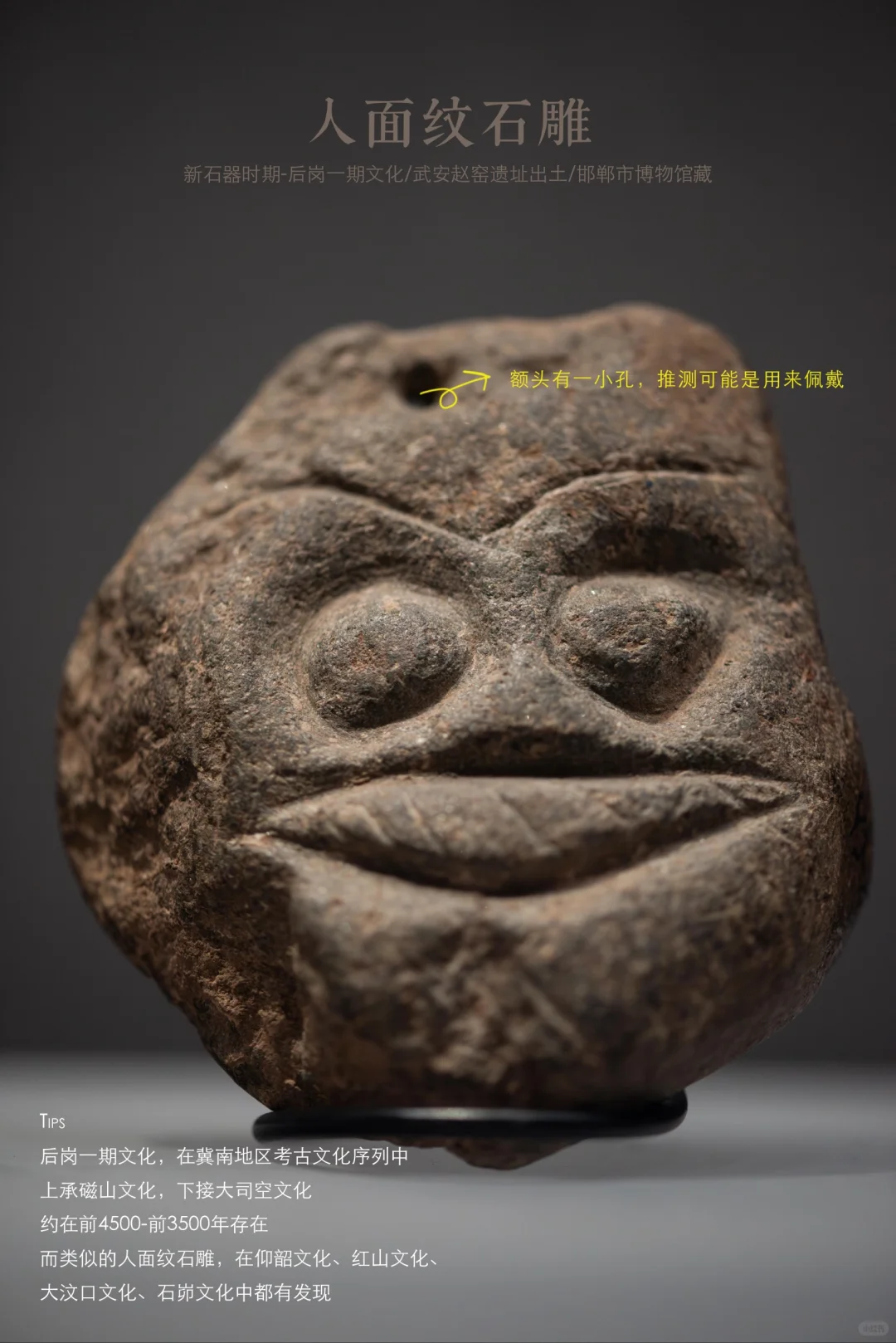 邯郸博物馆|超强参观指南，看完直接能讲解