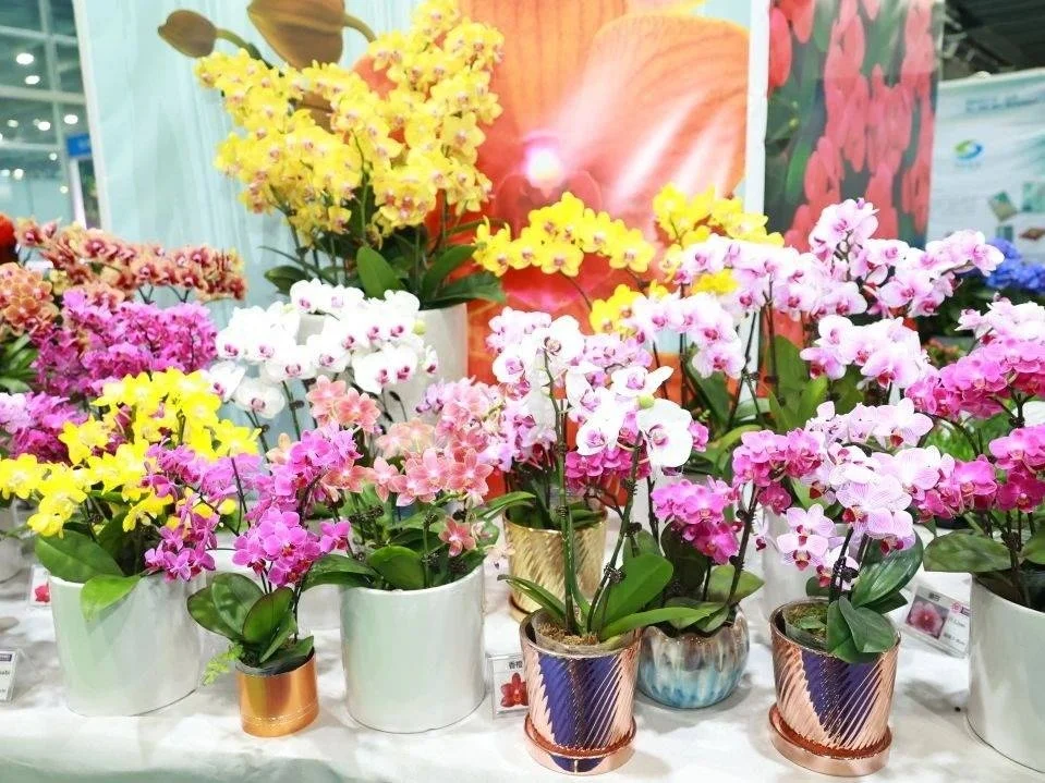 2026亚洲花卉产业博览会参展流程