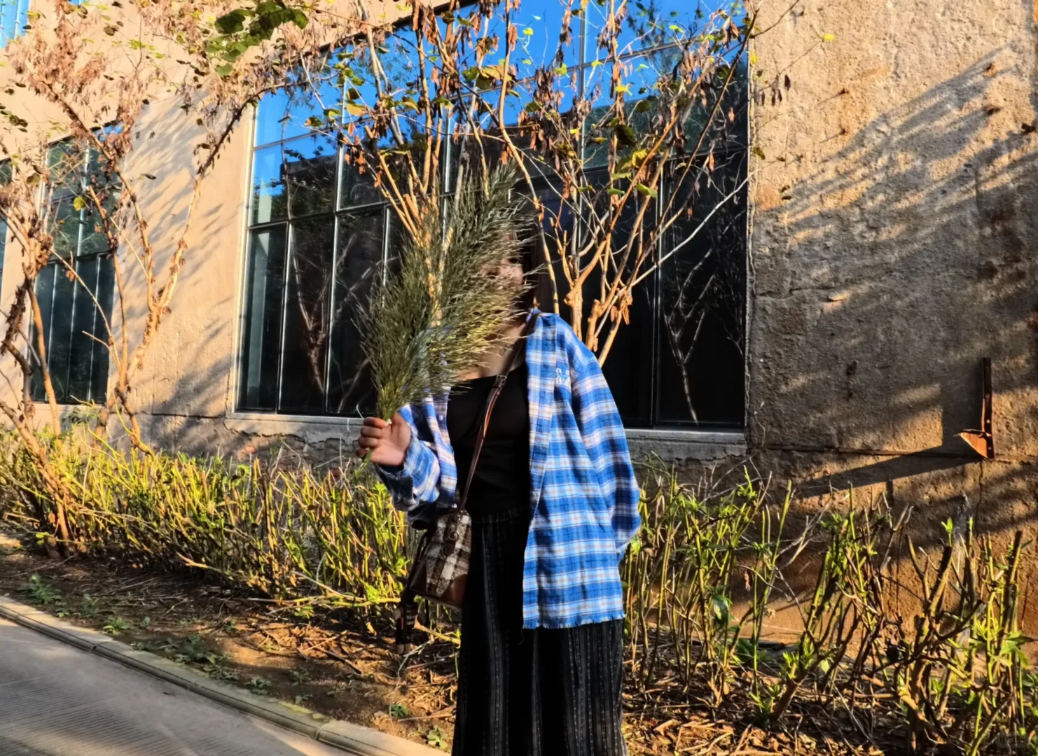 南通唐闸 | 在阳光灿烂的日子里