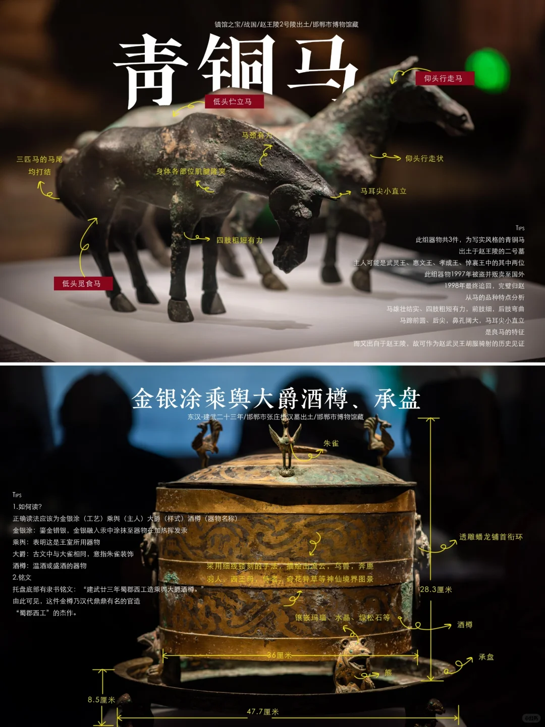 邯郸博物馆|超强参观指南，看完直接能讲解