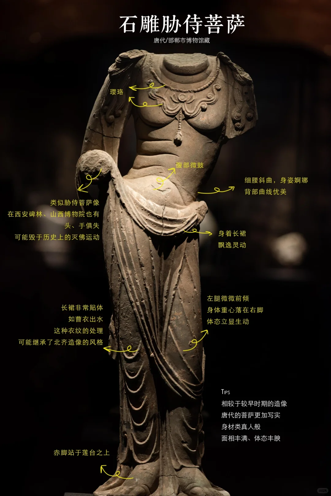 邯郸博物馆|超强参观指南，看完直接能讲解