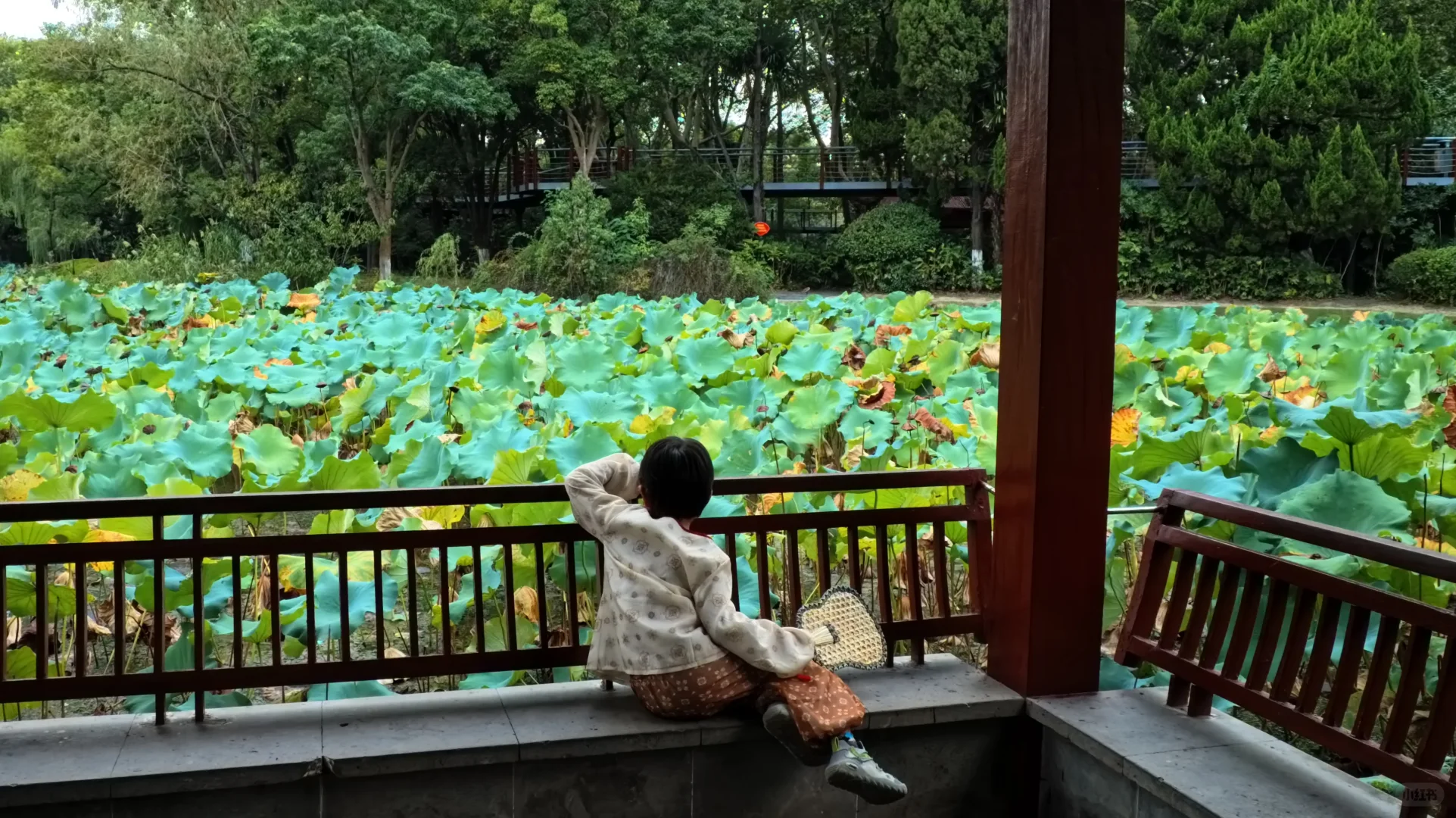 南通唐闸 | 在阳光灿烂的日子里