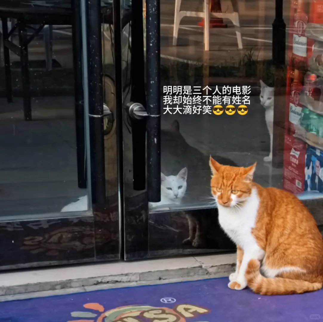 南通唐闸 | 在阳光灿烂的日子里