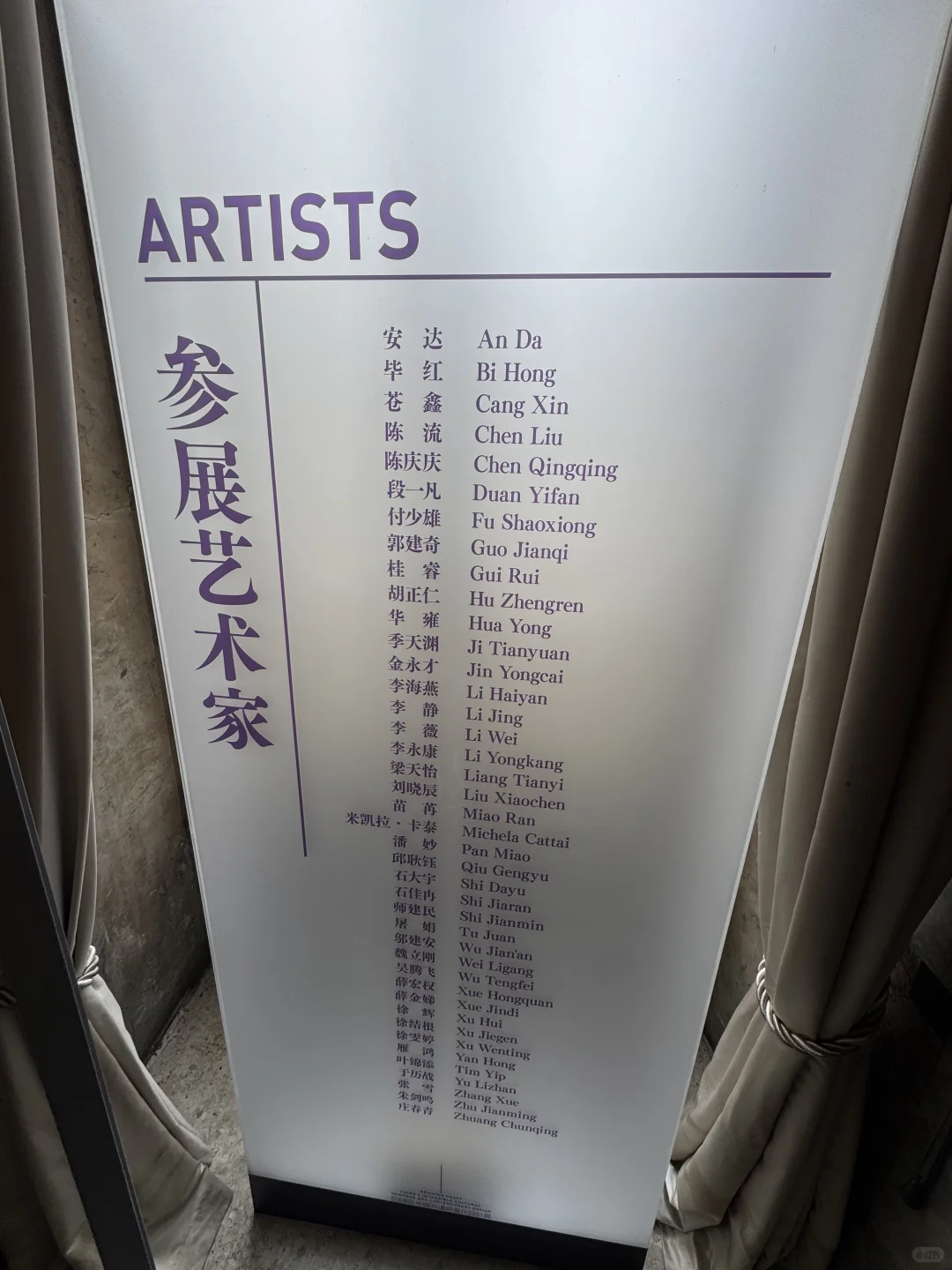 杨澜老师??米兰中国非遗与现代设计展