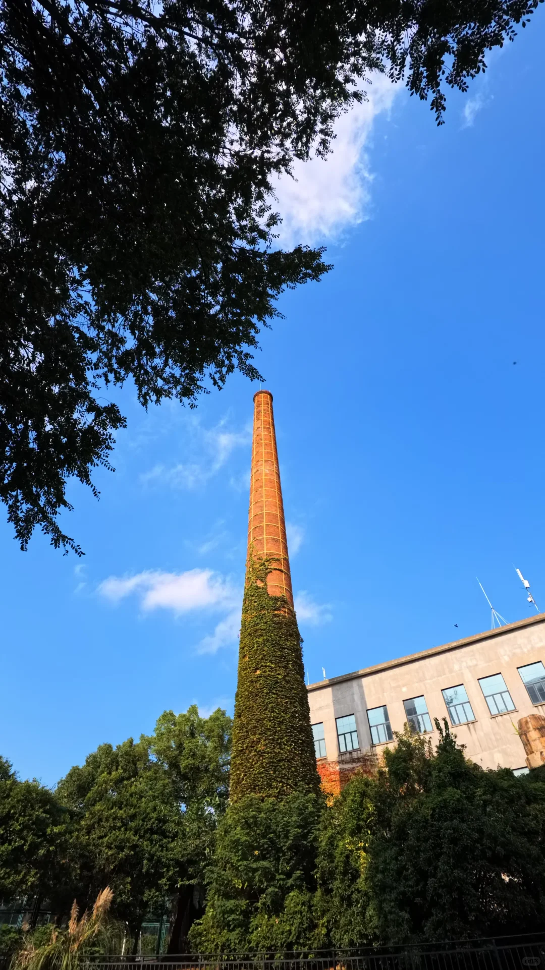 南通唐闸 | 在阳光灿烂的日子里