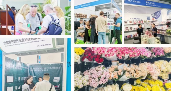 2026亚洲花卉产业博览会参展流程
