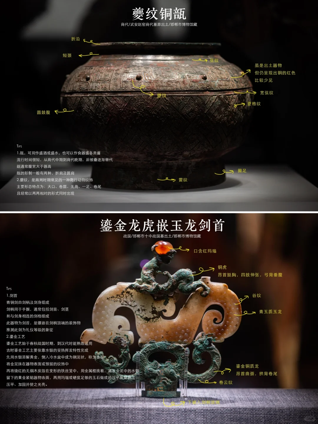 邯郸博物馆|超强参观指南，看完直接能讲解