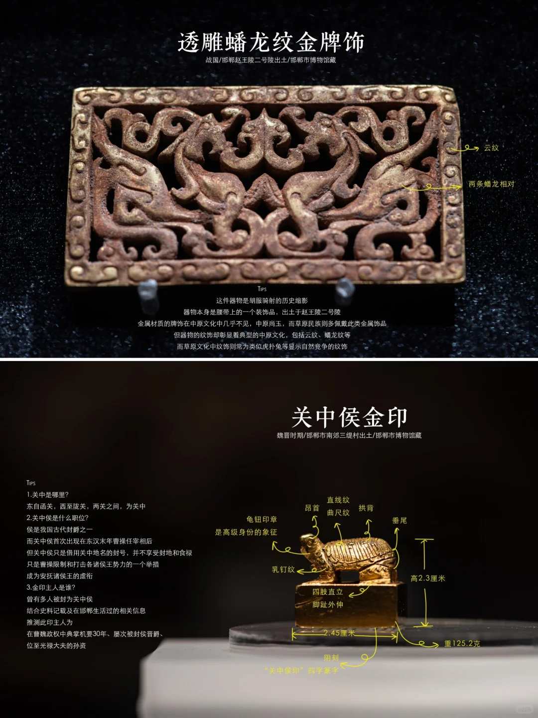 邯郸博物馆|超强参观指南，看完直接能讲解