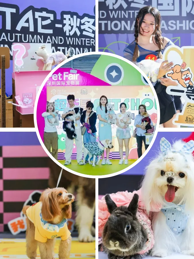 谁还不知道！深宠展专业观众免费逛！