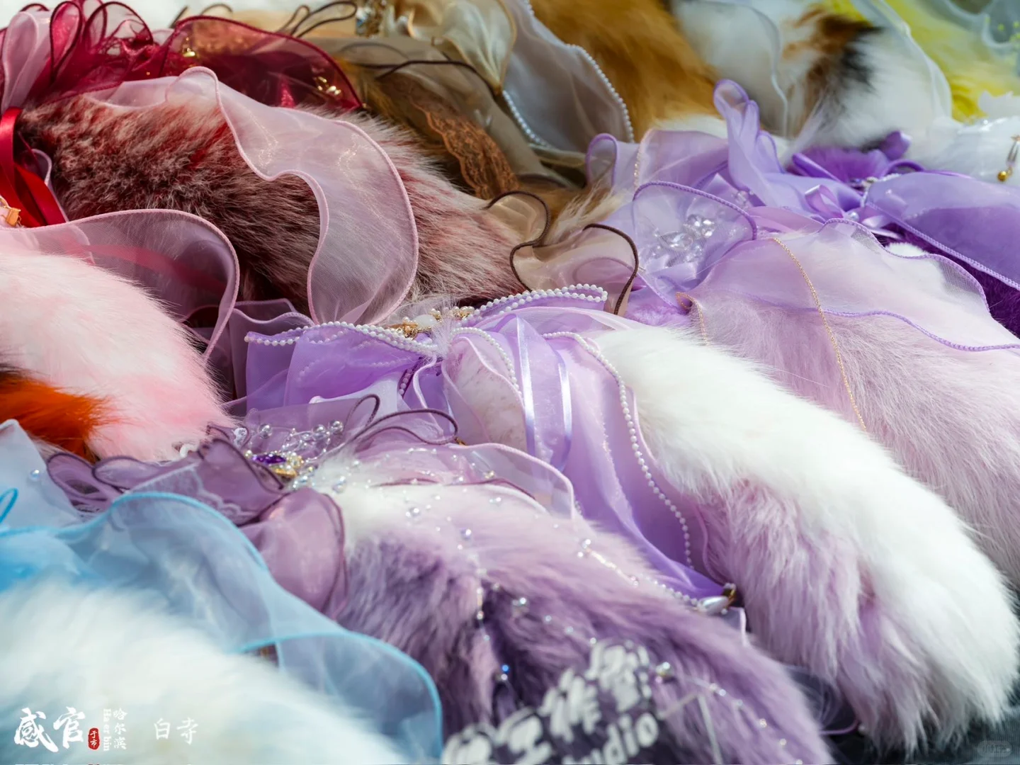 石家庄 你也太小众了…