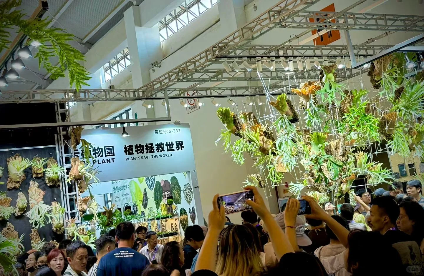 最后一天亚洲热植展+ 创意云南文化展别错过