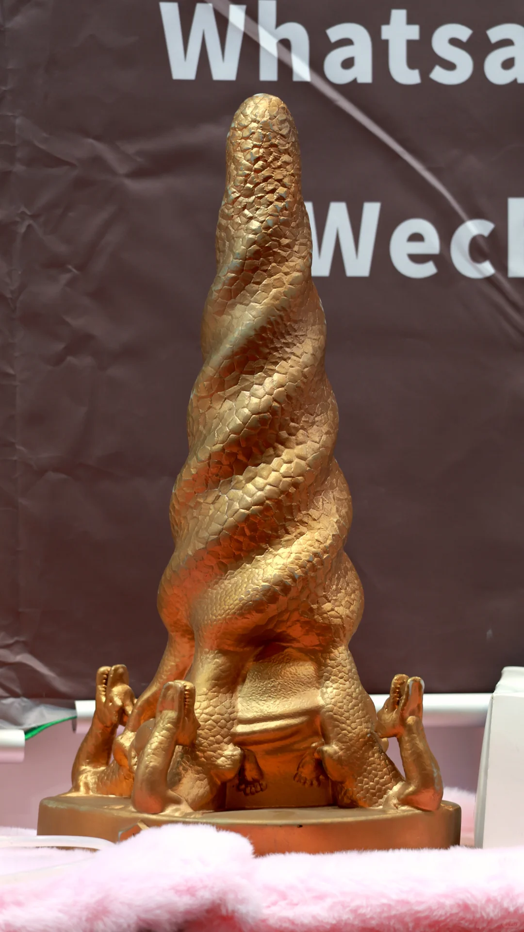 深圳成人展.你想看的照片来了