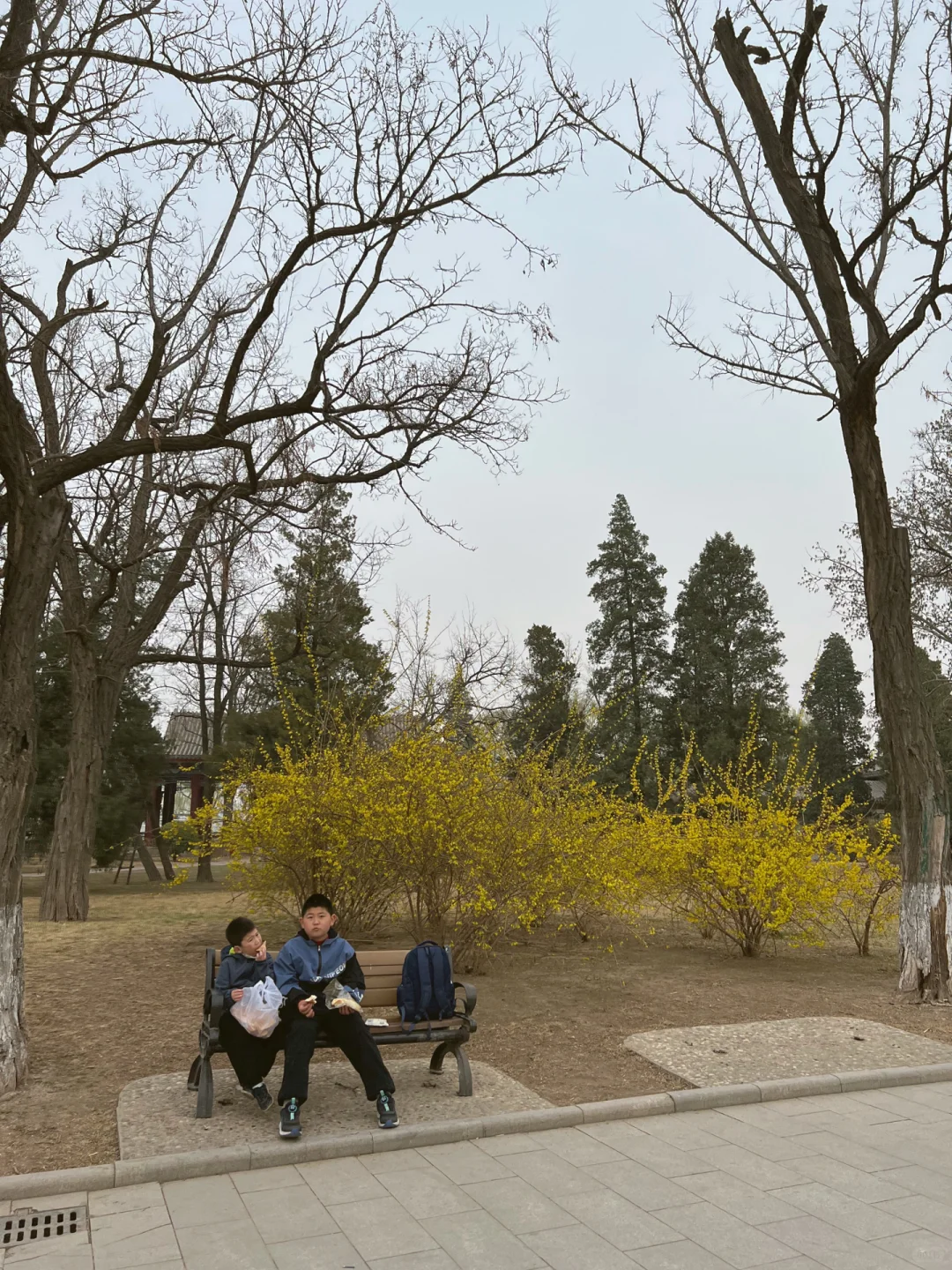 水上公园春日游，内有热闹的土特产市集