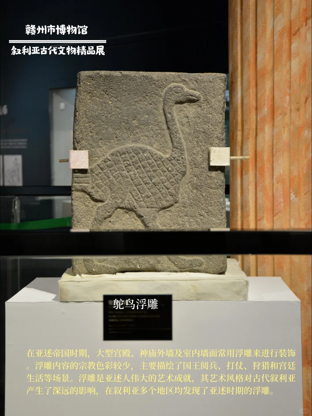 厦门国庆新展?叙利亚古代文明展