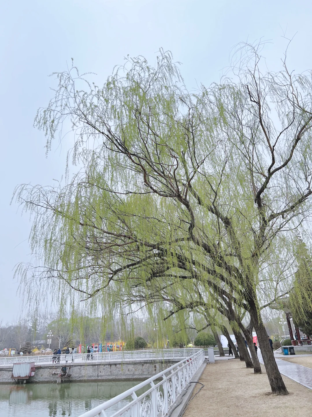 水上公园春日游，内有热闹的土特产市集