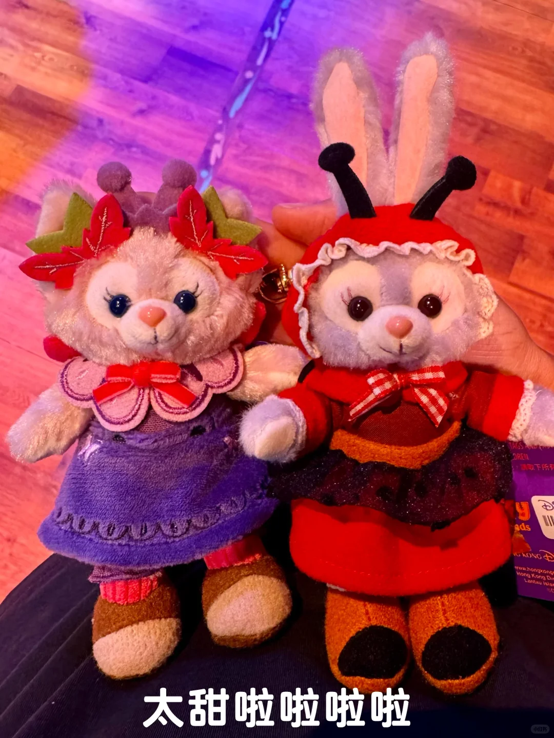 ?港迪你就宠吧 讨糖多多的有（附地图）