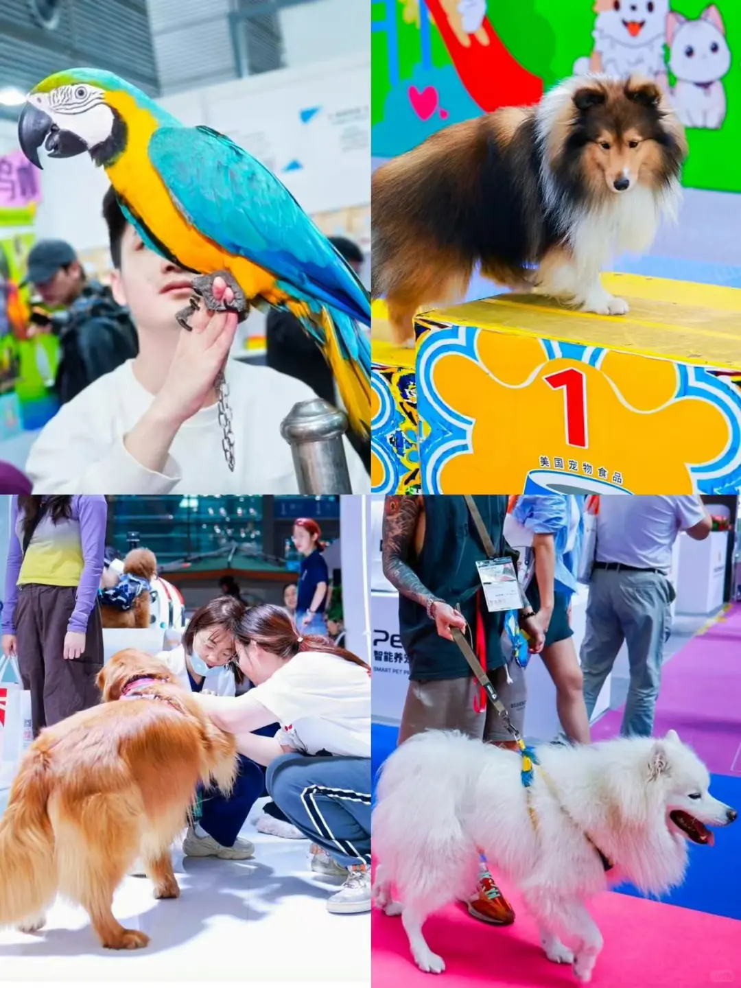铲屎官集合！下半年华南最炸宠物展来了?