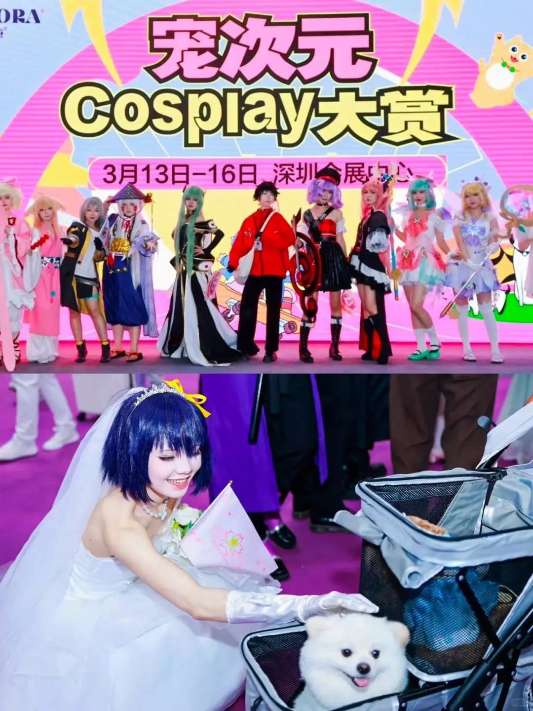 铲屎官集合！下半年华南最炸宠物展来了?