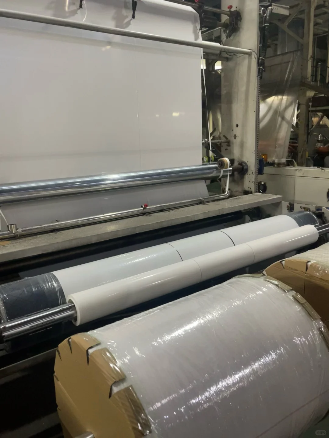 00后吹膜二代/复工 Plog