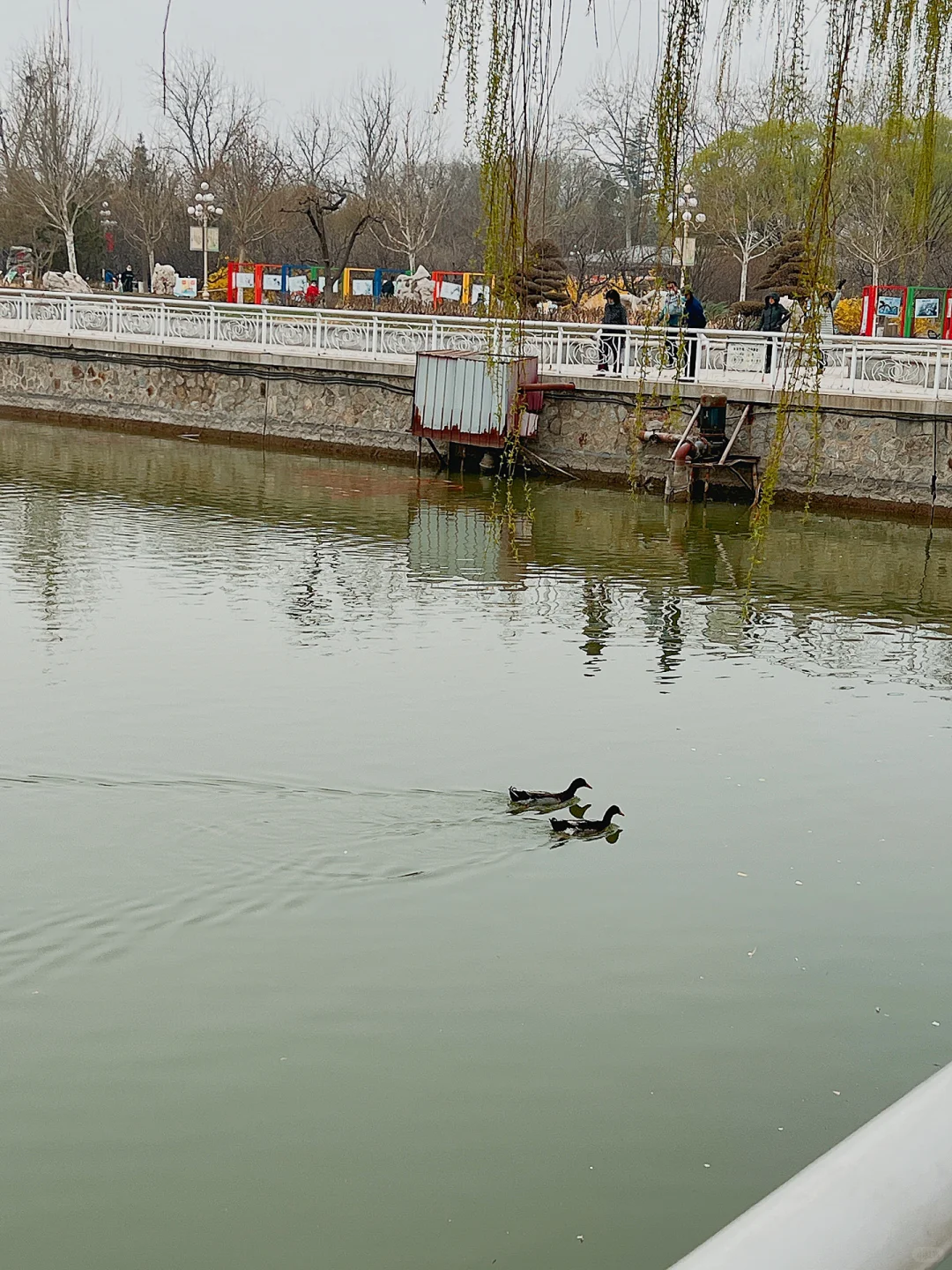 水上公园春日游，内有热闹的土特产市集