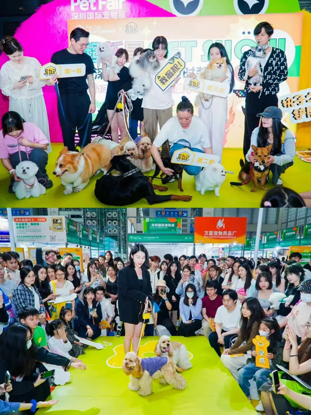 铲屎官集合！下半年华南最炸宠物展来了?