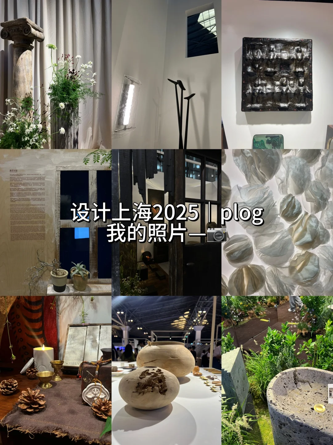 ✨魔都看展｜设计上海2025沉浸式Plog?