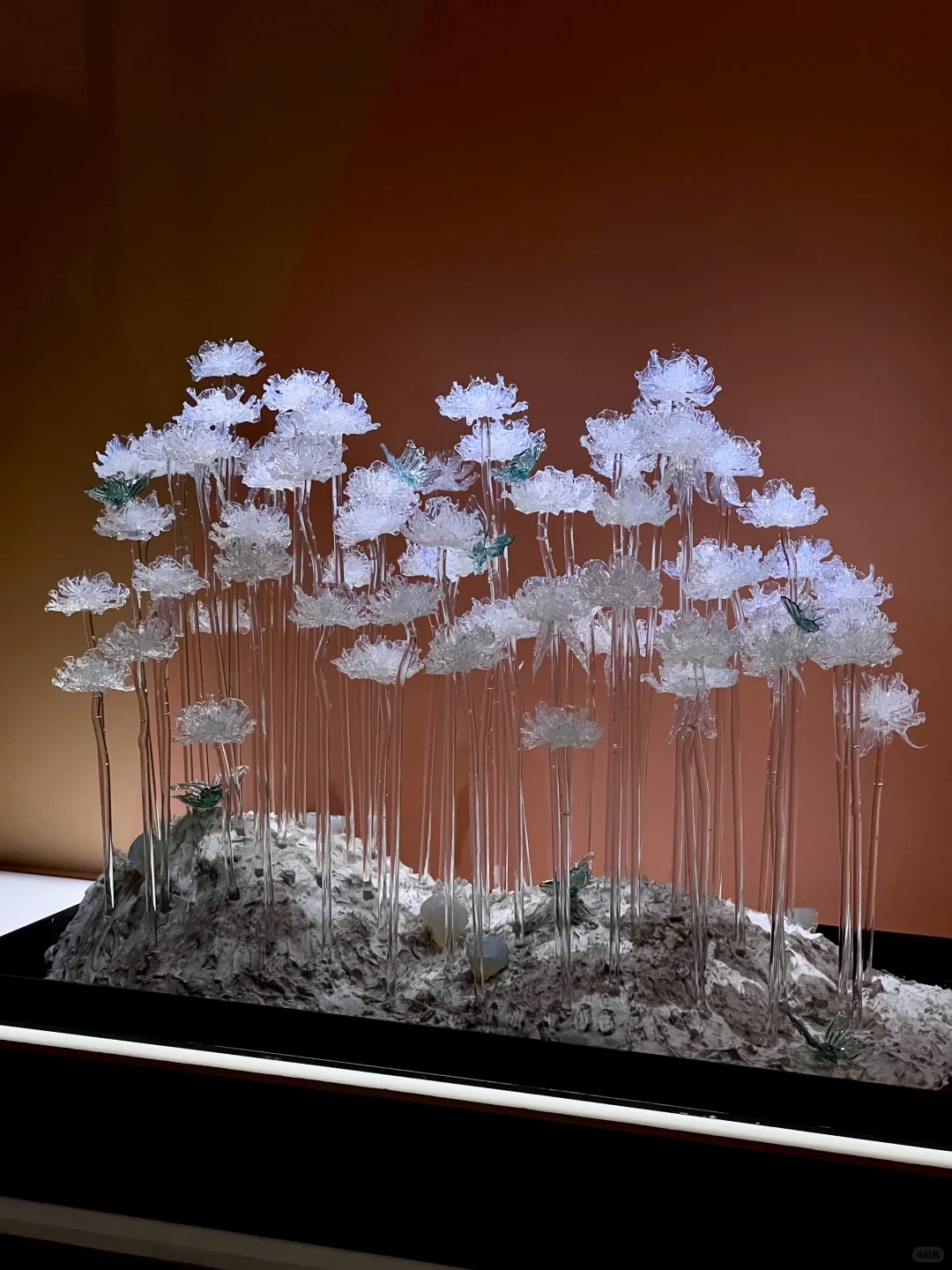 国博琉璃展！延长到10月8日啦！！美到失语！