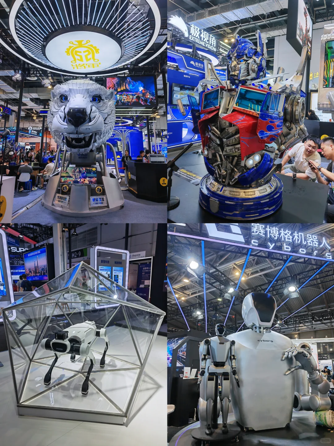 最火的一届WAIC2025世界人工智能大会❗