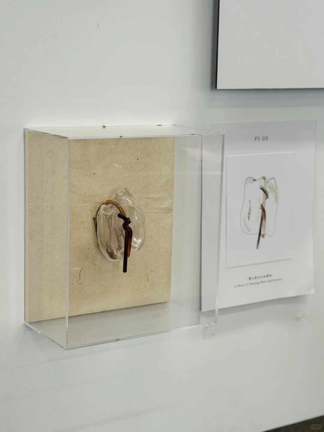 北京……果然坠好的展览都是免费的！！