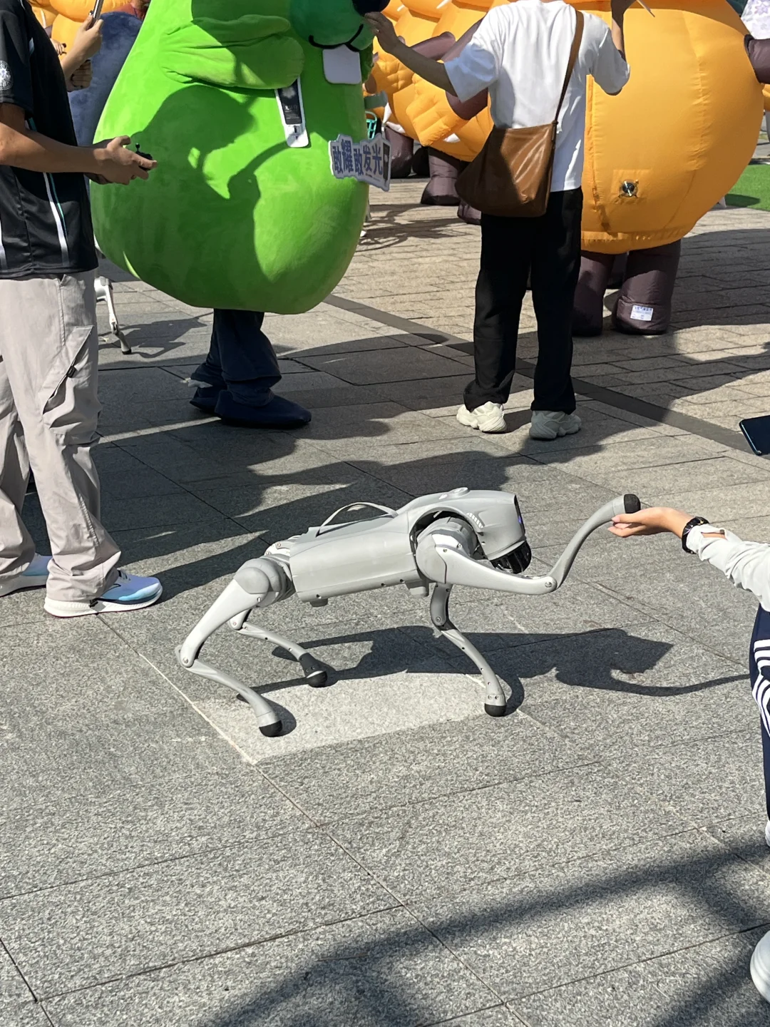 Plog?有如此权威的开学博览会进入中大…