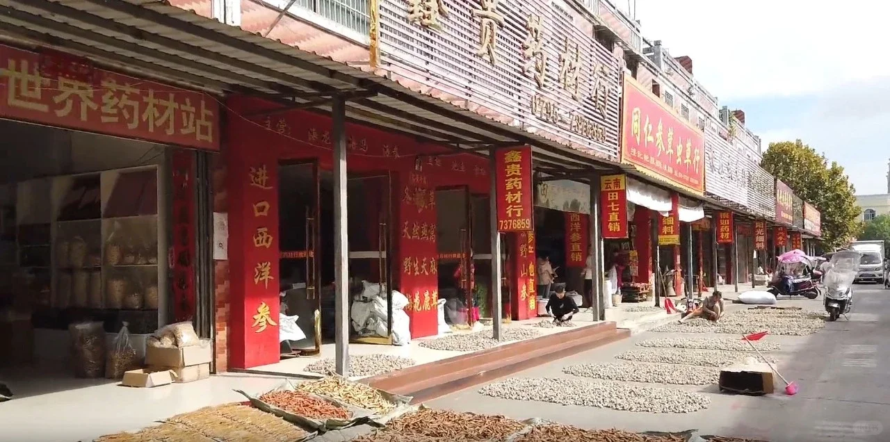 金秋十月千年药都再续华章