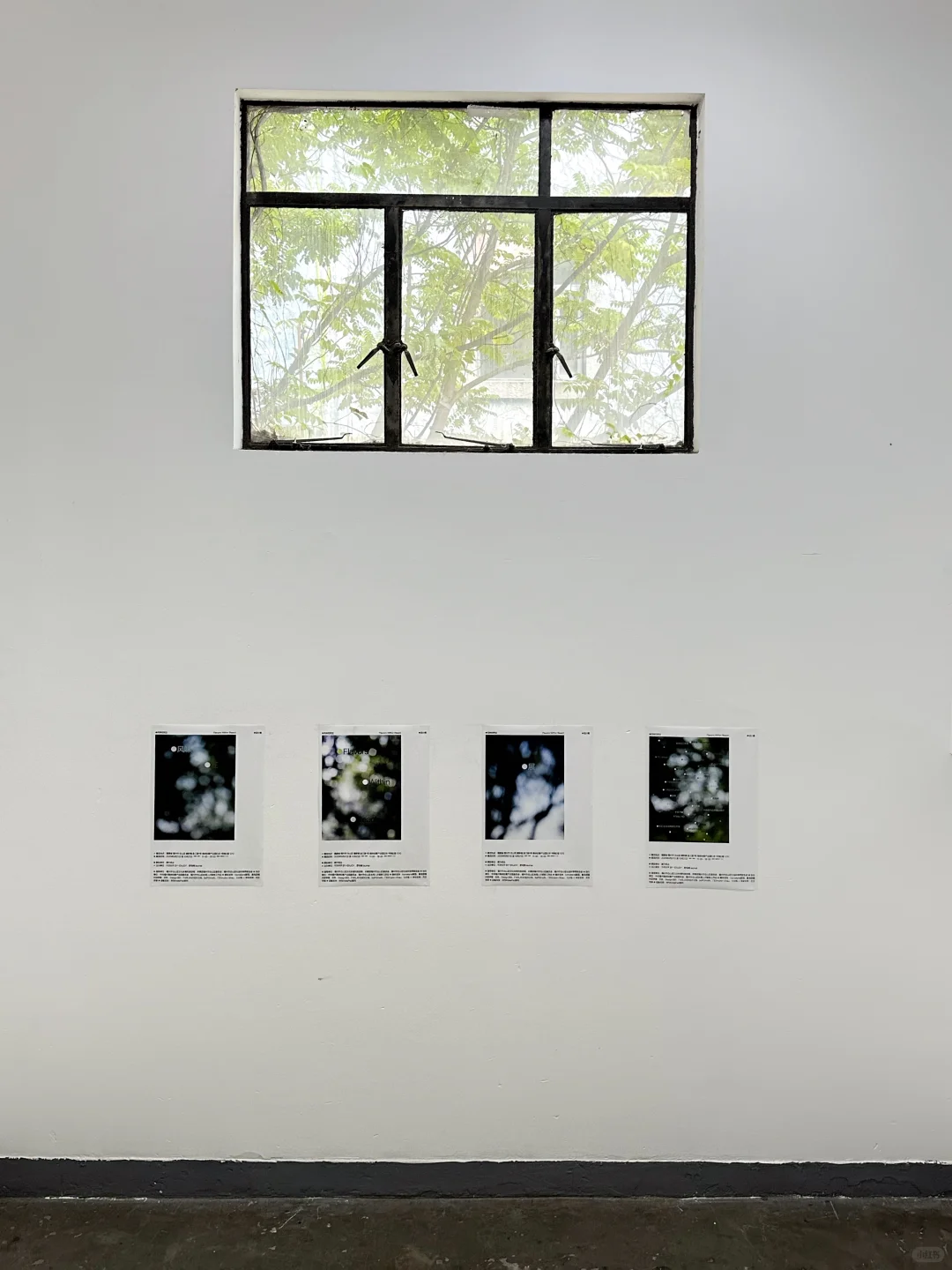 风味在附近-设计展