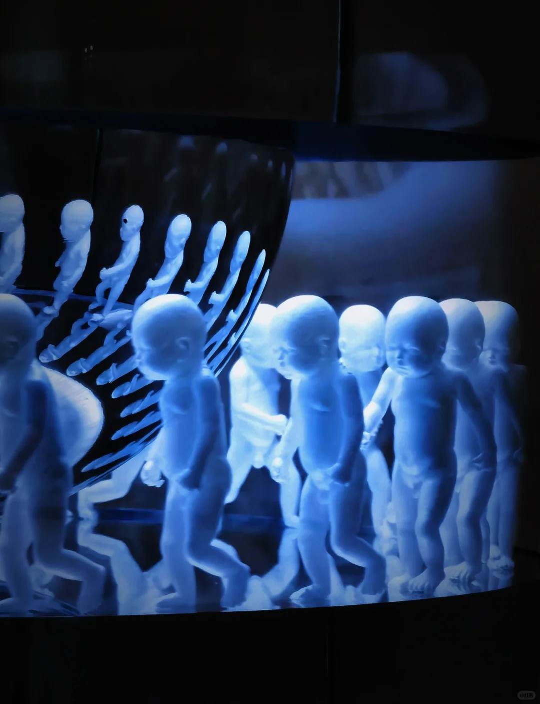 厦门新展|2024艺术厦门国际博览会