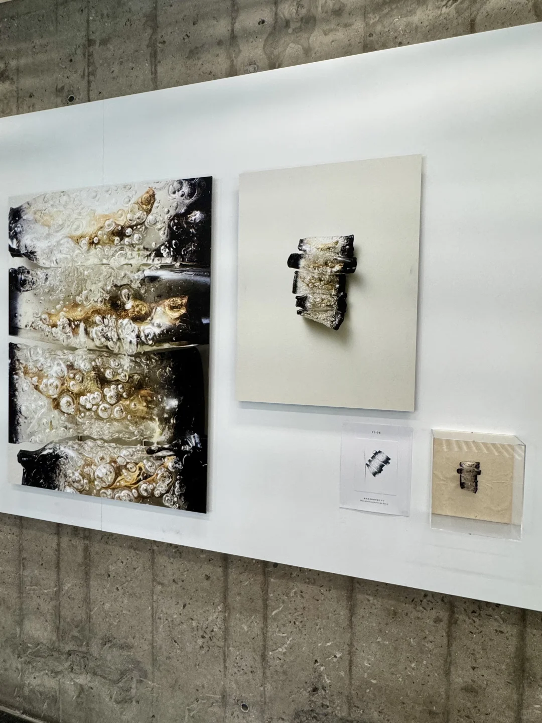 北京……果然坠好的展览都是免费的！！